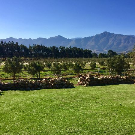 Olive Cottage Franschhoek Dış mekan fotoğraf