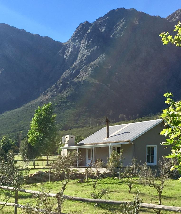 Olive Cottage Franschhoek Dış mekan fotoğraf