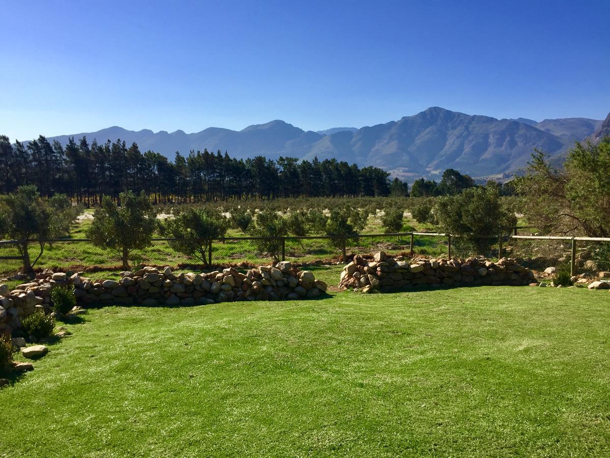 Olive Cottage Franschhoek Dış mekan fotoğraf