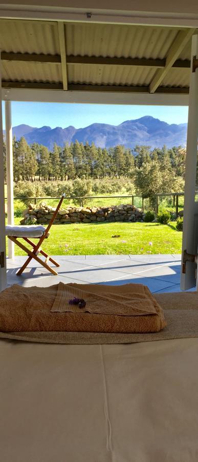 Olive Cottage Franschhoek Dış mekan fotoğraf